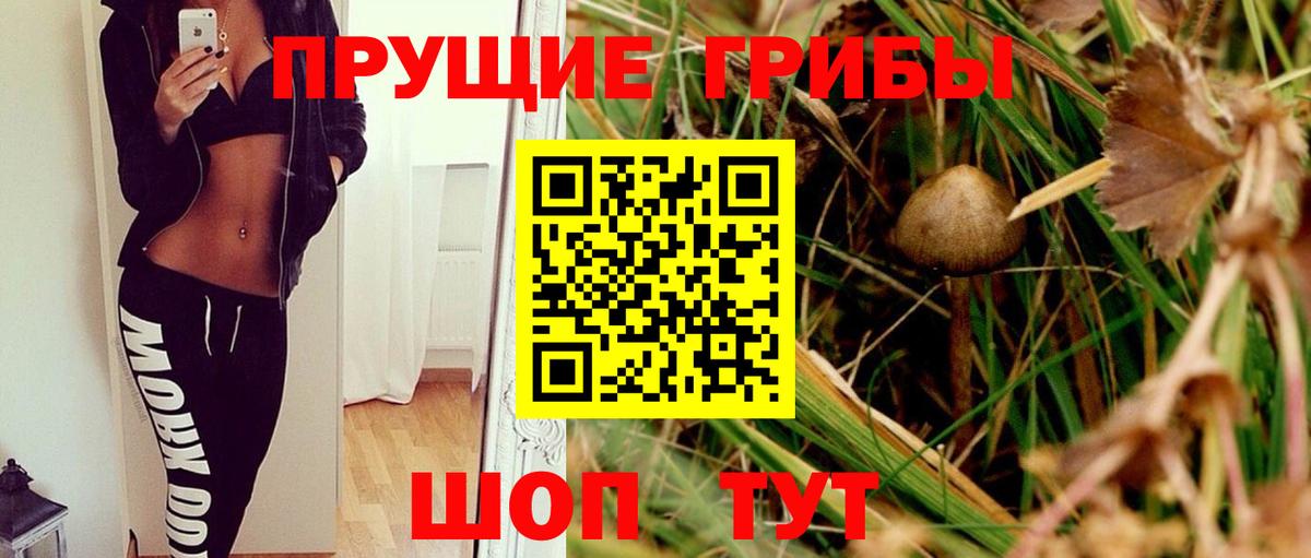 Псилоцибиновые грибы Psilocybine cubensis  Вход с VPN  Щёлково 